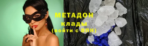 стаф Алзамай