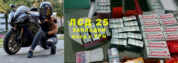 стаф Алзамай