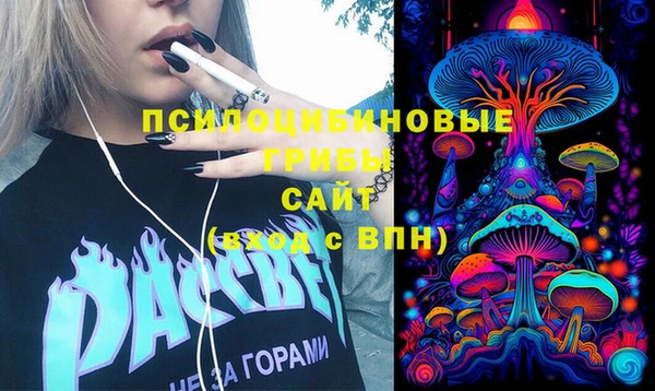 стаф Алзамай